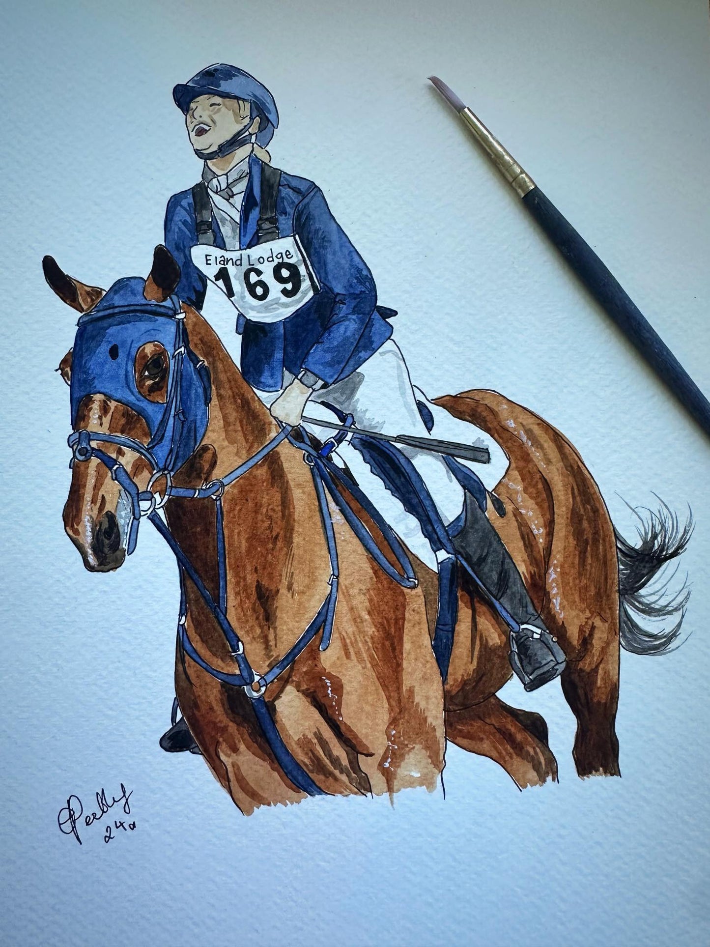 Bespoke Illustrations