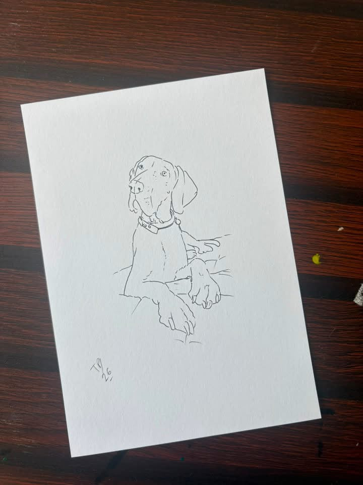 A6 Line Art Illustrations